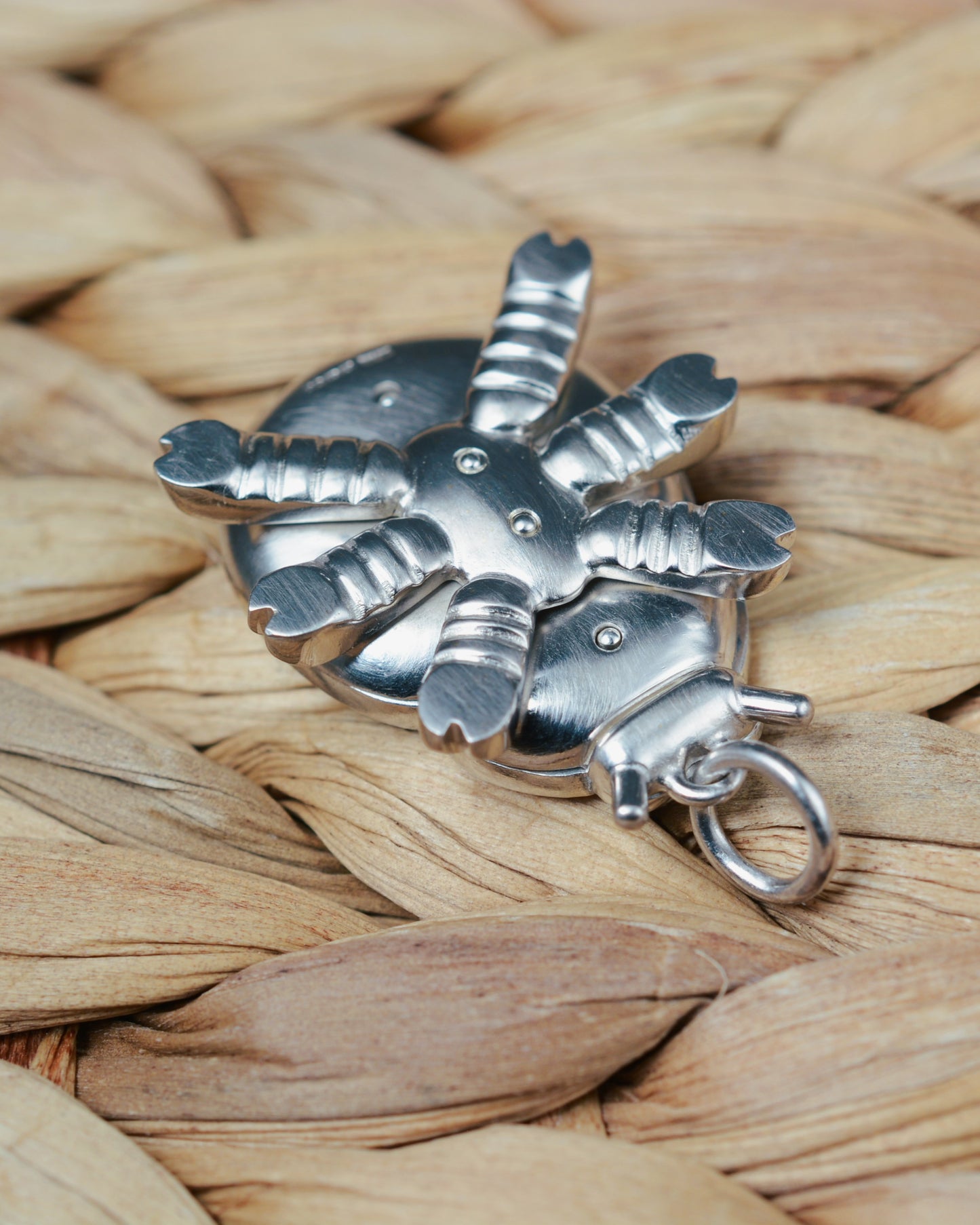 Blue Beetle pendant. Enamelled silver beetle necklace.