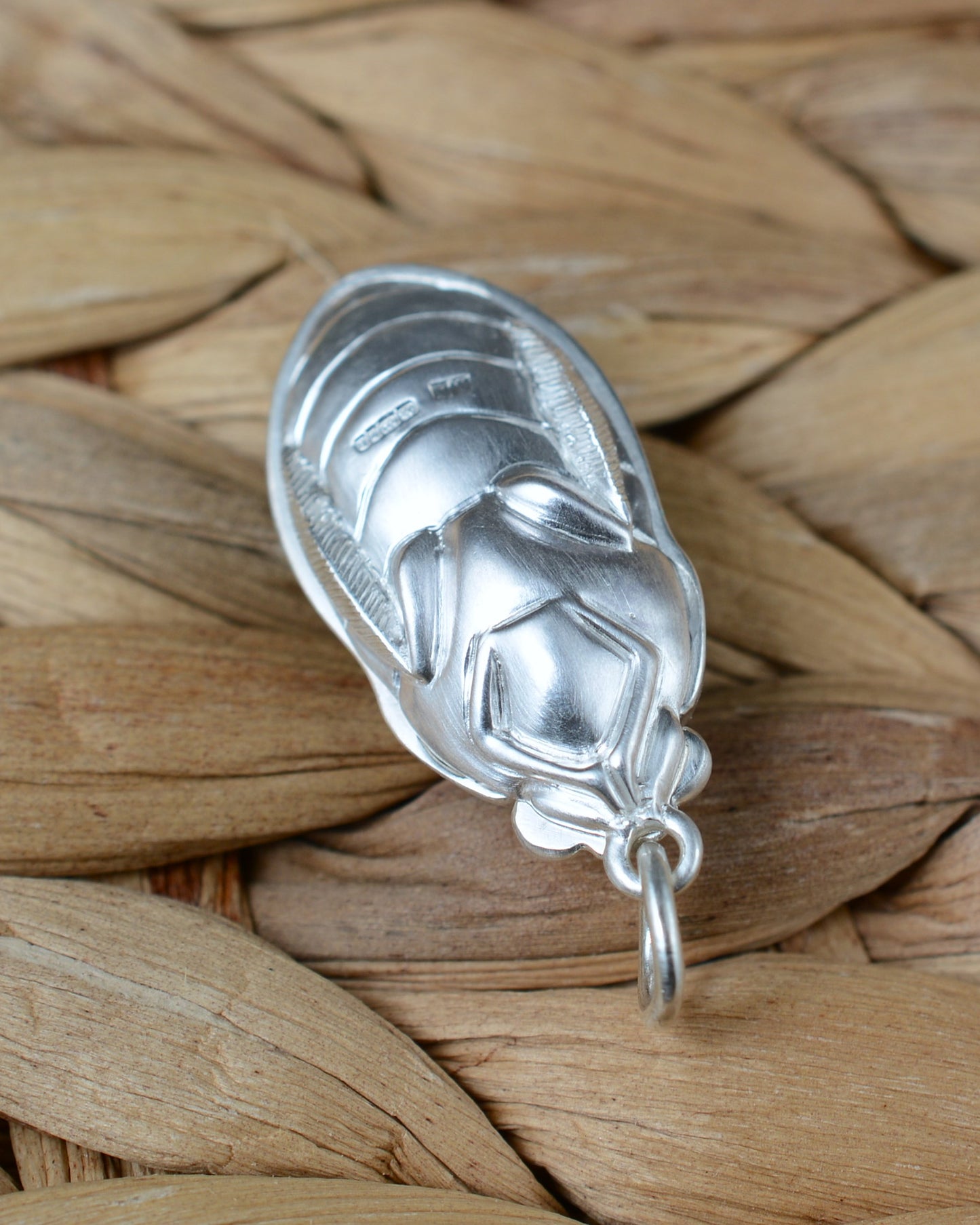 Emerald green beetle pendant. Satin finished silver diving beetle necklace.