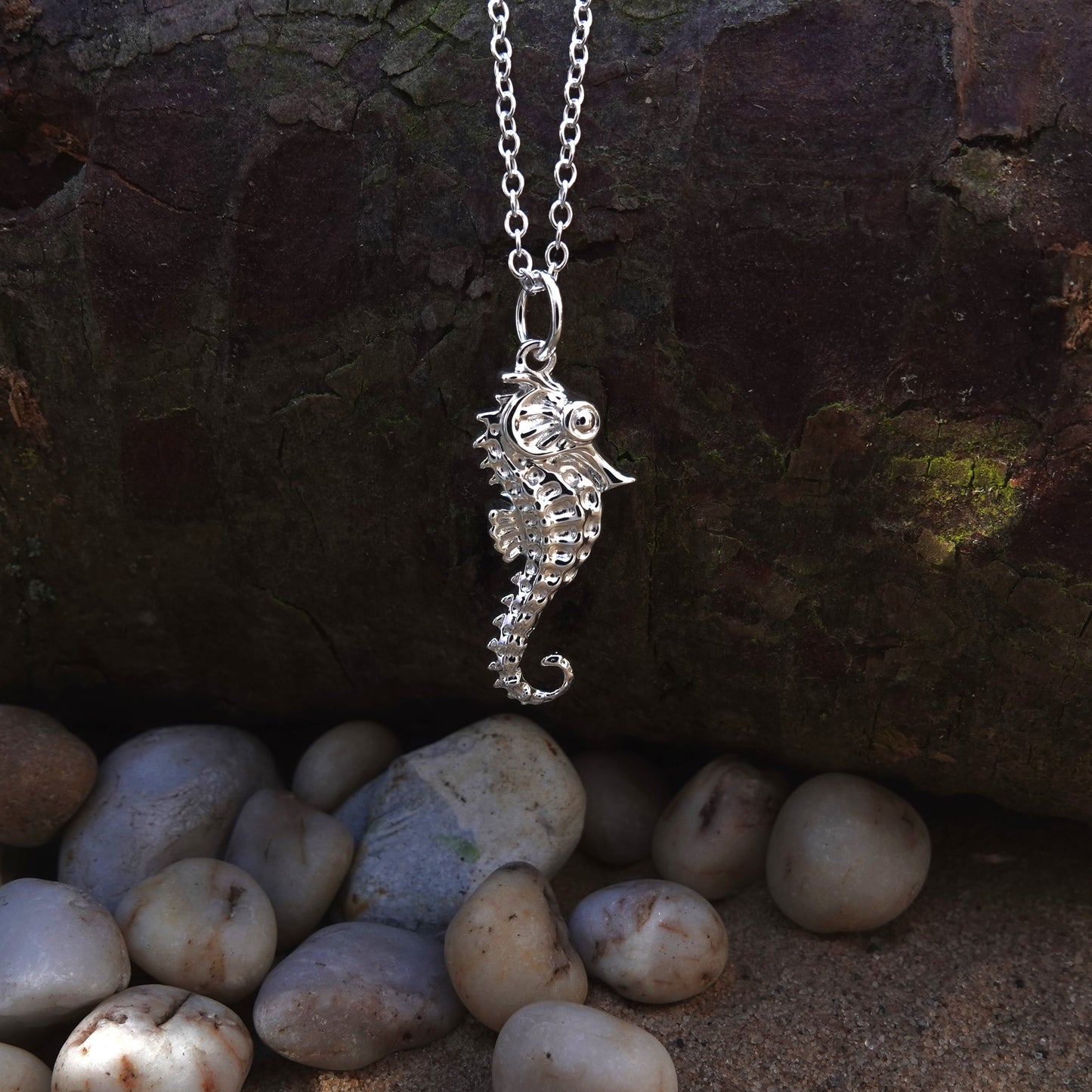 Seahorse necklace. Made from highly polished, tarnish resistant silver, hung on a solid silver chain. © Adrian Ashley