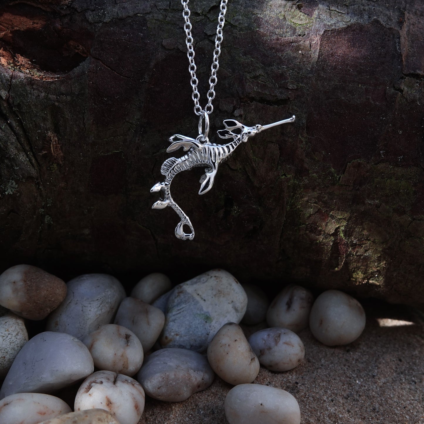 Weedy Sea Dragon necklace. Made from highly polished, tarnish resistant silver, hung on a solid silver chain. © Adrian Ashley