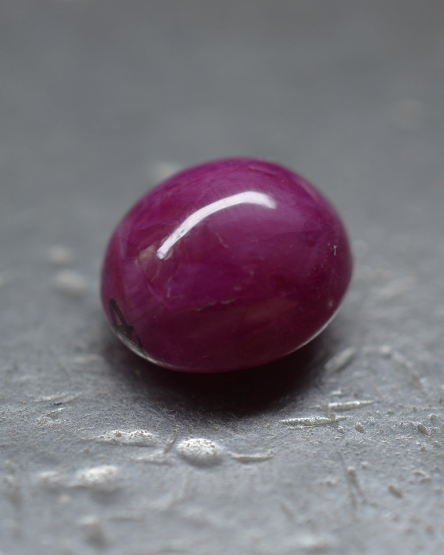 Bingo Beastie, Bright Creature Companion Being. © Adrian Ashley