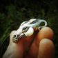 Horse necklace, silver horse head pendant, silver and sapphire, equestrian jewellery. Hand made to order. © Adrian Ashley