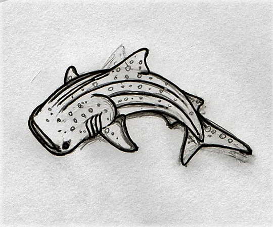 Whale Shark print by Déborah Maradan | Posterlounge